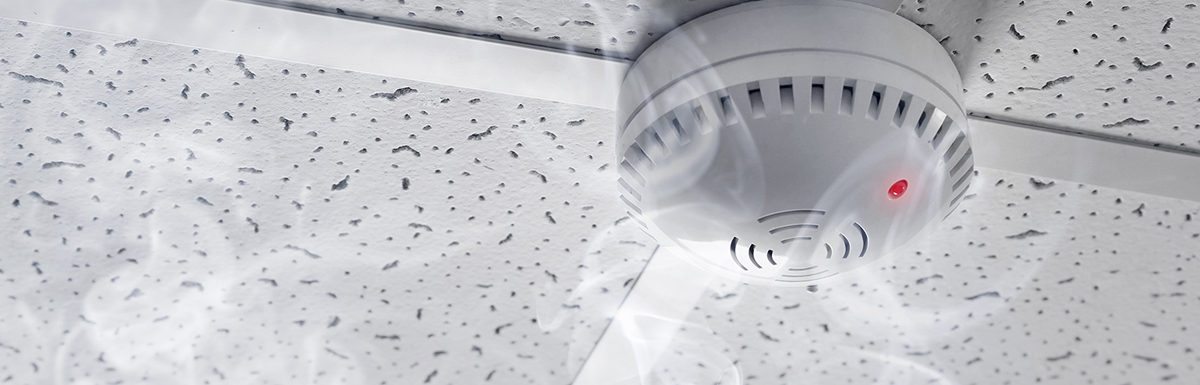 smoke-alarm-1 image Image